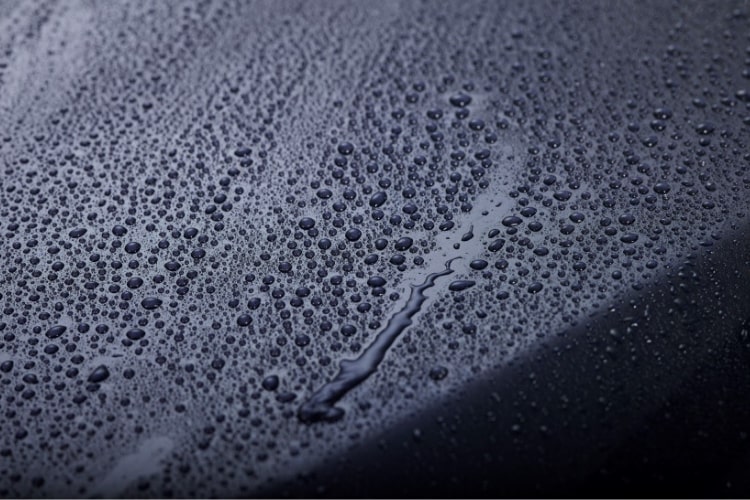 Water beading on a freshly waxed dark hood
